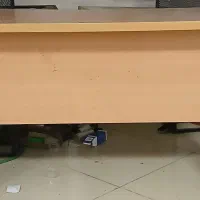 میز ام دی اف