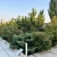 ویلا کلاسیک دارای قدمت بنا تهران دشت|فروش خانه و ویلا|تهران, بازار|دیوار