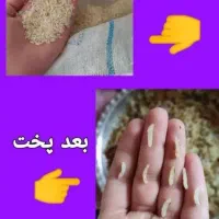 برنج اصلی کامفیروز|خوردنی و آشامیدنی|مهریز, |دیوار