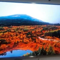 تلویزیون شیائومی ۶۵ اینچ 4k  ultra hd (L65m5)|تلویزیون و پروژکتور|ساری, |دیوار