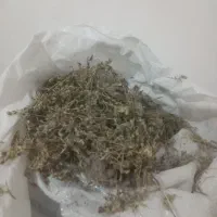 مقداری.اویشنکوهی.برایف.فروش