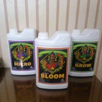 کشت خانگی فضای باز