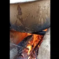 شیره انگور کشمشی|خوردنی و آشامیدنی|شیروان (خراسان), |دیوار