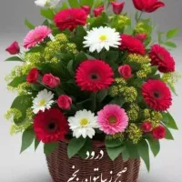 سیم کارت رند