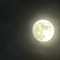 فروش خط