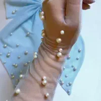 دستکش مجلسی|لباس|تبریز, |دیوار