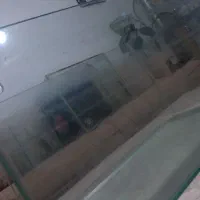 آکواریوم