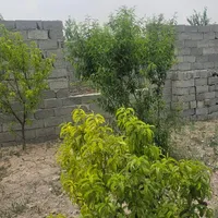 باغچه آماده ویلا سازی لوکیشن سرسبز|فروش دفتر صنعتی، کشاورزی، تجاری|تهران, فرودگاه مهرآباد|دیوار