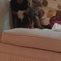 اقدسیه گلزار ۲۰۰ متر ۳ خواب بامستر|اجارهٔ آپارتمان|تهران, اقدسیه|دیوار