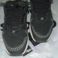 Zx9000/8000|کیف، کفش، کمربند|تهران, فرودگاه مهرآباد|دیوار