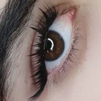 کاشت مژه ( چسب بدون اسیب ومژه ابریشمی)|خدمات آرایشگری و زیبایی|ساری, |دیوار