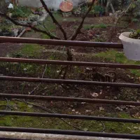 اجاره سوییت دربستی با پارکینگ و حیاط خلوت مستقل|اجارهٔ کوتاه‌مدت آپارتمان و سوئیت|آستارا, |دیوار