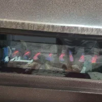 فروشی|بندرخت و رخت‌آویز|اراک, |دیوار