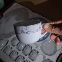 سرویس چینی زرین