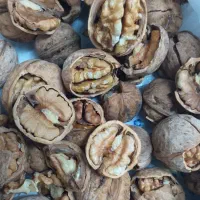 گردو تازه درجه یک اصل تویسرکان پرچرب|خوردنی و آشامیدنی|تهران, پرستار|دیوار