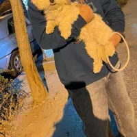 فروش فقط و فقط تا امشب