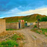هکتاری زمین شاهنامه حسن آباد گوارشک زاک ماریان|فروش زمین و ملک کلنگی|مشهد, توس فردوسی|دیوار