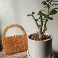 کیف مرواریدی|کیف، کفش، کمربند|یزد, |دیوار