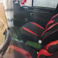 پیکان سواری|خودرو سواری و وانت|میبد, |دیوار