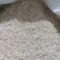 برنج محلی