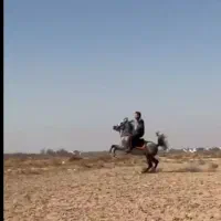 اسب سواری دارتعزیه رو جفت زن