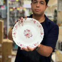 ارکوپال، اکروپال، پارس اپال 120 ابی|ظروف سرو و پذیرایی|قم, نیروگاه|دیوار