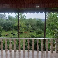 اجاره ویلا باغ در روستای زیبای سقالکسار|اجارهٔ کوتاه‌مدت آپارتمان و سوئیت|رشت, لاکان|دیوار