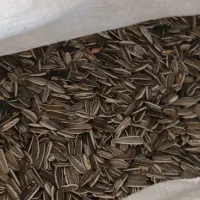 استاد کار تخمه پزی و کارگر ساده نیازمندیم|استخدام خدمات فروشگاه و رستوران|کرمانشاه, |دیوار