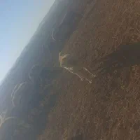 سگ گله