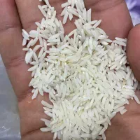 برنج هاشمی|خوردنی و آشامیدنی|سنگر, |دیوار