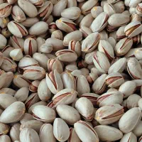 پسته اکبری درجه یک فیض آباد