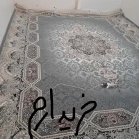 فرش هالدی دلفین