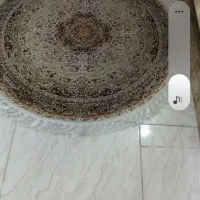 فرش ماشینی گرد یک در یک|فرش|پاکدشت, پاکدشت (مامازند)|دیوار