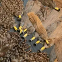 کوتاهی موهای خام و رنگی با قیمت فوق العاده
