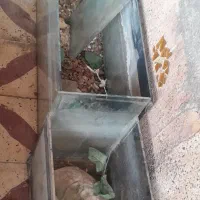 یه قفس بزرگ و جادار|لوازم جانبی حیوانات|اندیمشک, |دیوار