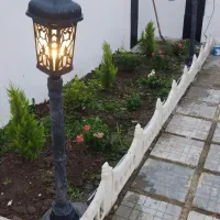 هرس درختان میوه و نگهداری از فضای سبز