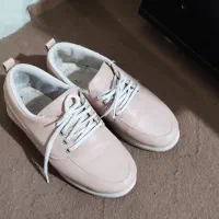 کفش|کیف، کفش، کمربند|تربت‌حیدریه, مظفریه|دیوار