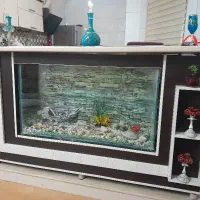 فروش‌ فوری آکواریوم