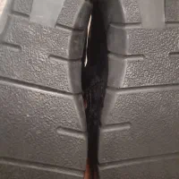 کفش اسپرت درحدنو|کیف، کفش، کمربند|ری, ظهیرآباد|دیوار