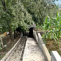 اجاره روزانه/هفتگی/ماهانه ویلا ۹۰ متری|اجارهٔ کوتاهمدت ویلا و باغ|فریم, |دیوار