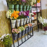 3 استند گل مناسب گلفروشی|فروشگاه و مغازه|آمل, |دیوار