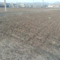زمینهای کشاورزی وخام متعدد در یک کیلومتری کامیاران