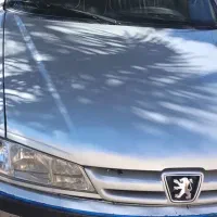 طوطی|پرنده|بم, |دیوار