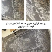 دو لنگه قرش ۶ متری۱۶۰۰ شانه