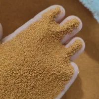 خاکشیر مرغوب|خوردنی و آشامیدنی|شیراز, شهرک امام حسن|دیوار