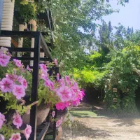 کار با جای خواب، سالندار سالاد زن و سفارشگیر|استخدام خدمات فروشگاه و رستوران|اصفهان, کوی امام|دیوار