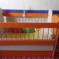 تخت کودک