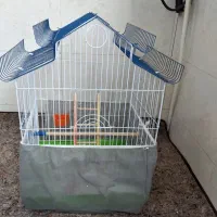 دوعدد قفس عروس هلندی