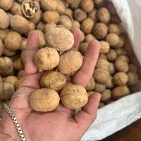 عمده گردو امسالی