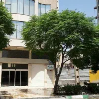 رهن و اجاره واحد ۸۰متری بحر خ اصلی ۷۵عمار یاسر